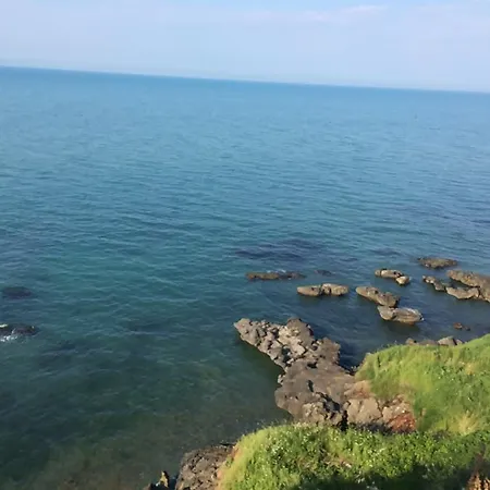 Livera Turizm * Trabzon